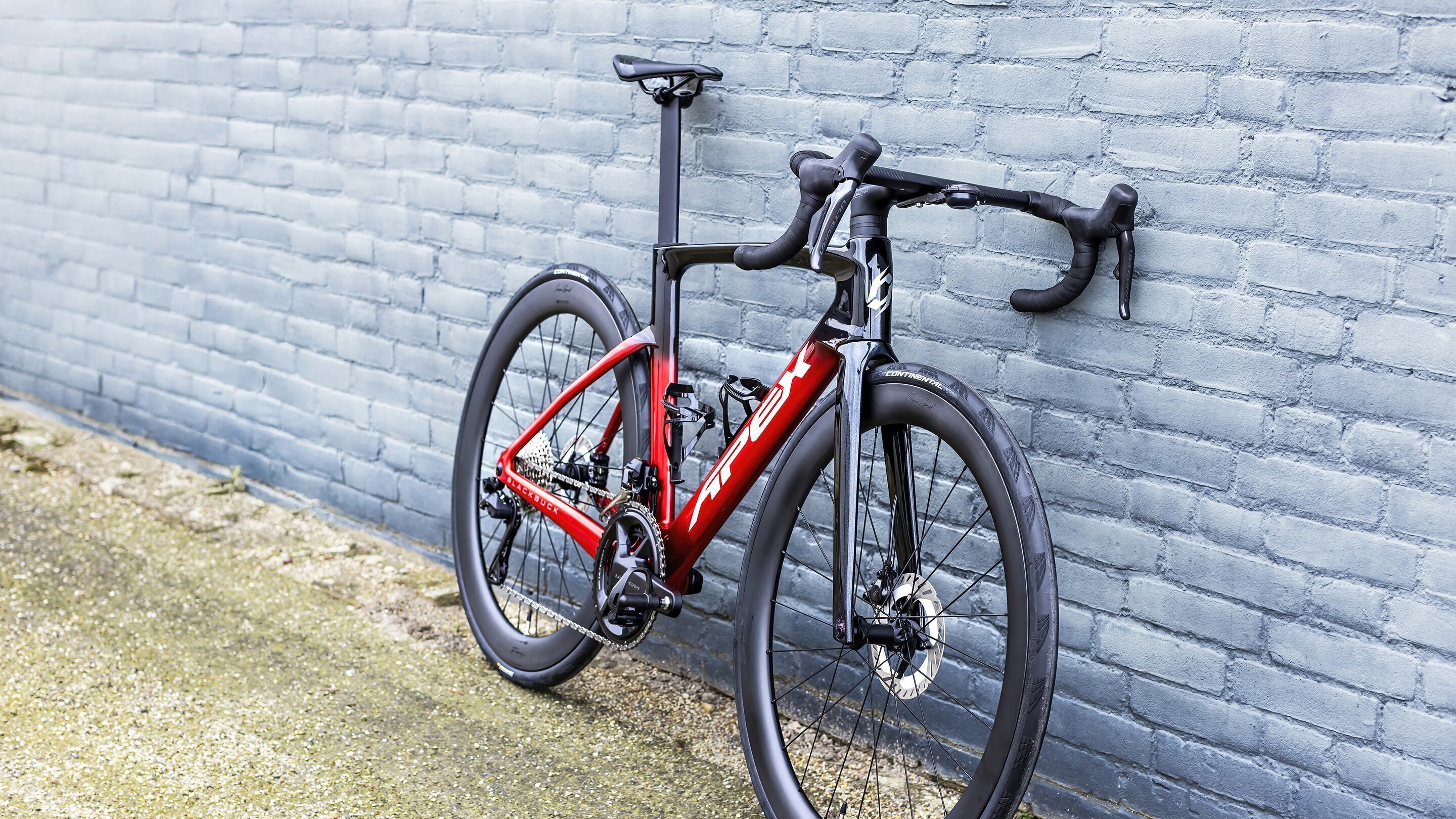 APEX_feb25 (124) 2880 1620.jpg