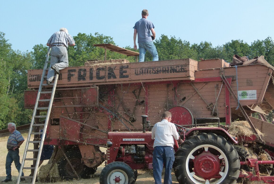 rogge dorsen met de Fricke dorsmachine.JPG