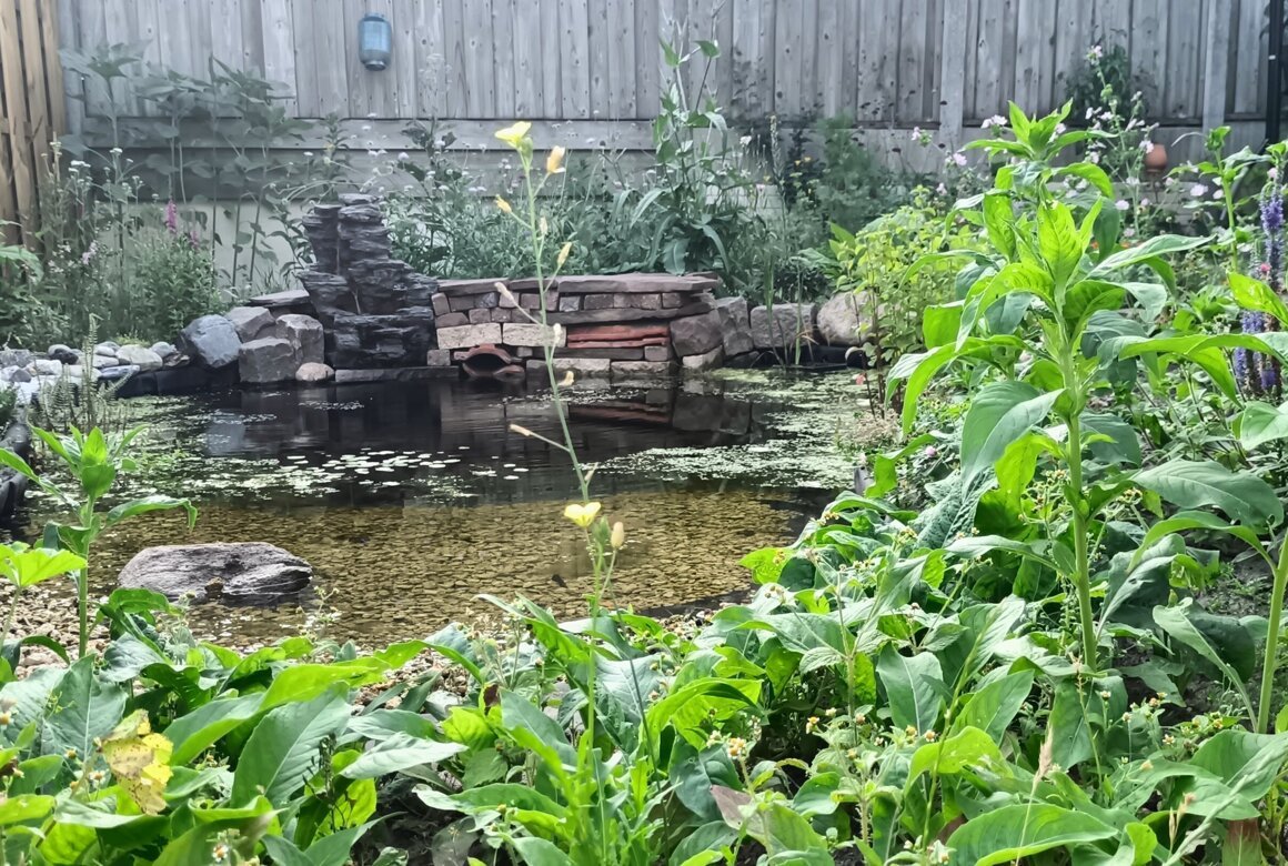 IMG20250702071839.jpg