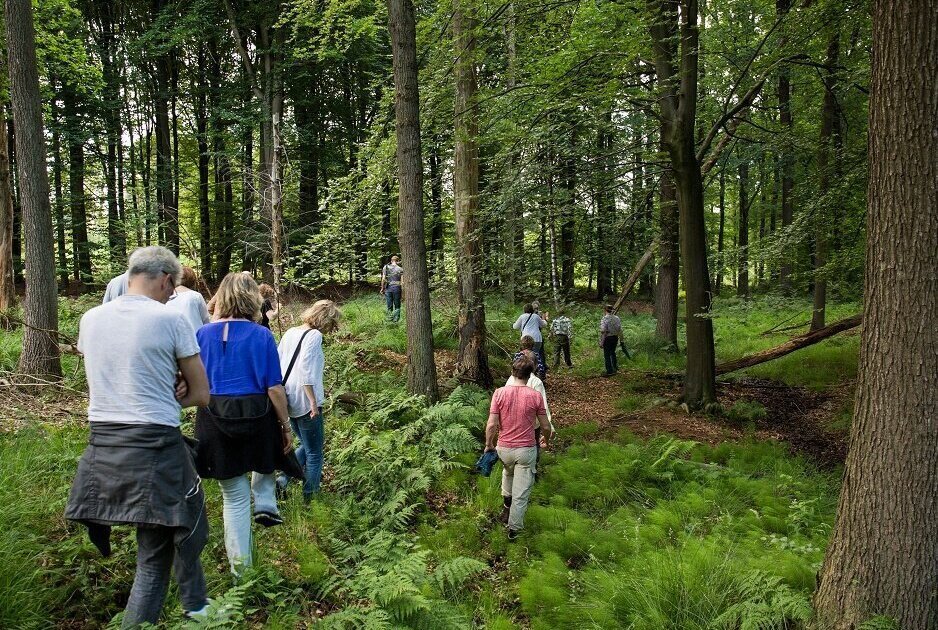 excursie Clifton Buitink.jpg