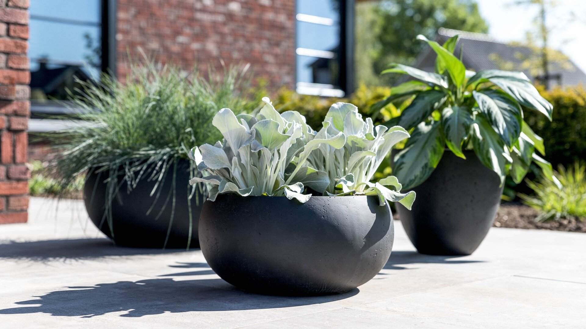 Grigio Low Balloon + Egg Pot - Anthracite.jpg